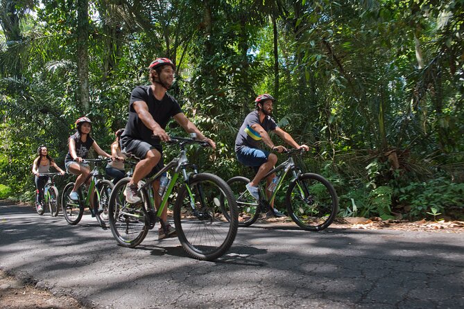 Mountain Cycling Tour - Stop time: fruit and spice tastings you’ll remember