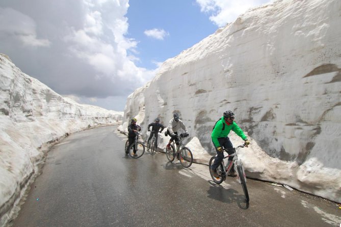 Multi-Day Trip Himalayan Cycling Expedition from Manali to Leh - Quick take: key details that matter