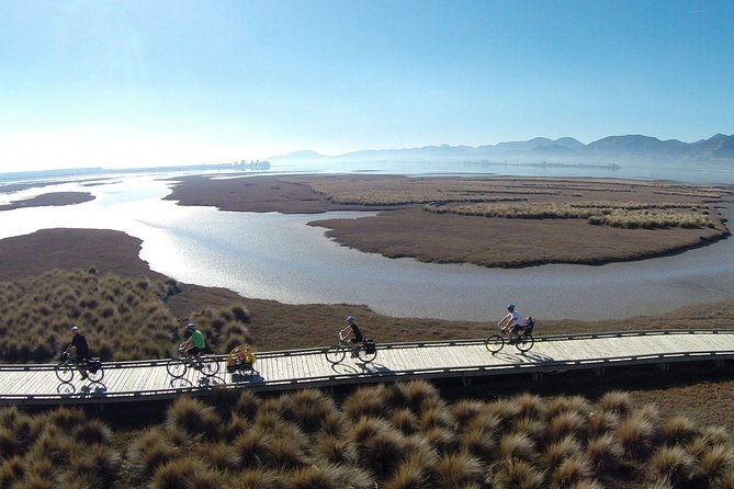 Nelson to Mapua: Full-Day Self-Guided Cycling Adventure - Key points before you pedal
