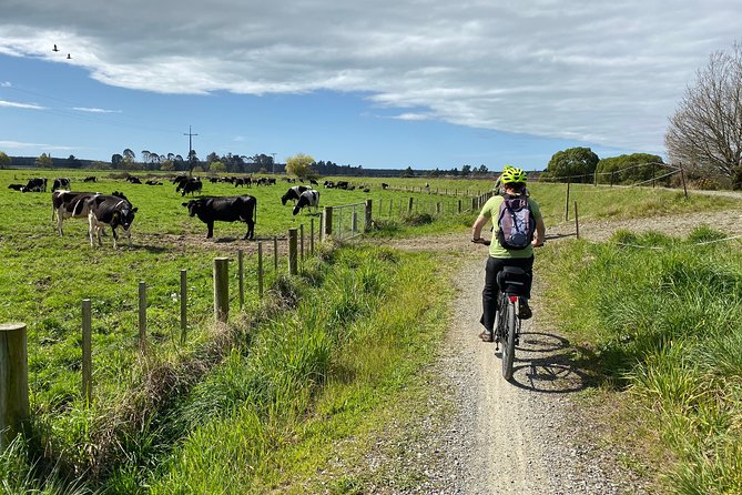 Nelson to Mapua: Full-Day Self-Guided Cycling Adventure - Should you book this Nelson to Mapua cycling tour?