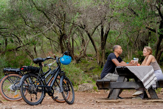 Nice Electric Bike Rental - Nice on Electric Power: Why This Rental Feels Worth It