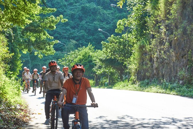Ninh Binh Day Trip: Hoa Lu-Trang An/Tam Coc-Mua Cave-Cycling-Boat - Trang An grotto boat tour: the main event with real cave atmosphere