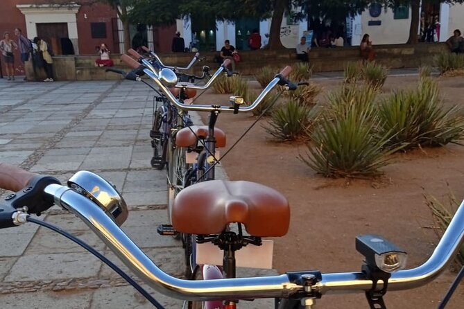 Oaxaca City Bicycle Tour Explore Iconic Barrios - Should you book Oaxaca City Bicycle Tour Explore Iconic Barrios?