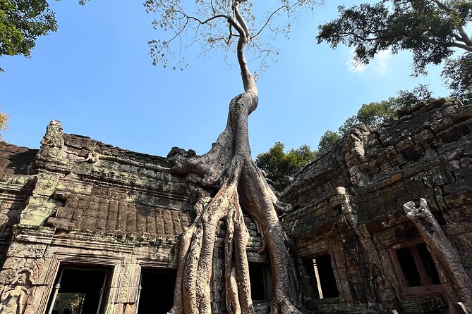 One day of bicycle tour - Angkor Wat when it feels serene: the timing advantage
