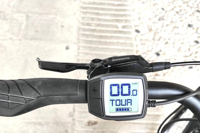 Palladian E-Bike Rental in & around Vicenza - Comfort and control: how the assist levels change the ride