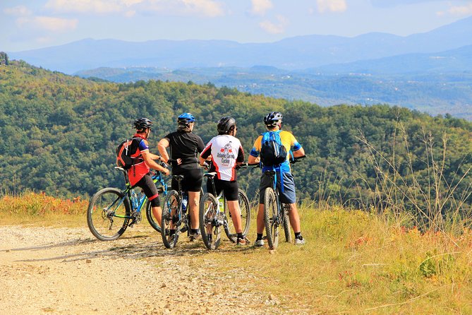 Parenzana Trail Full Day Cycling Tour from Pula, Rovinj, Poreč or Buje - How Hard Is This 40 Km Ride, Really?