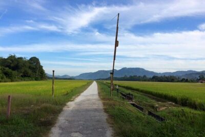Penang Balik Pulau Countryside Morning Cycling with Transfers - The Bike Ride: Easy Countryside Pace With Time to Stop