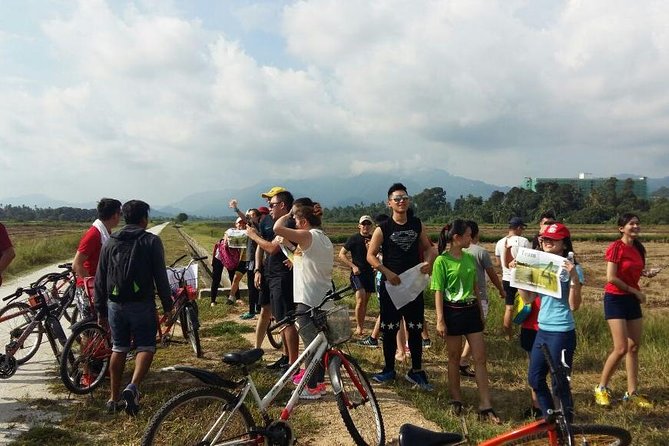 Penang Balik Pulau Countryside Morning Cycling with Transfers - The LoveUU Tea Farm View: Best Photo Time and a Snack in the Fields