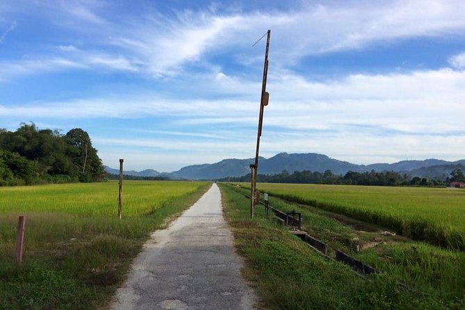 Penang Balik Pulau Countryside Morning Cycling with Transfers - The Bike Ride: Easy Countryside Pace With Time to Stop