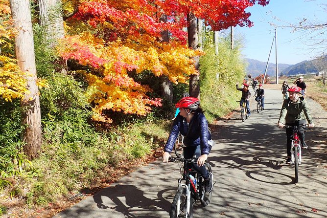 Private Afternoon Cycling Tour in Hida-Furukawa - Meet at Furukawa and roll out at 2:00 pm