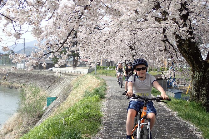 Private Afternoon Cycling Tour in Hida-Furukawa - Who this tour suits best (and who should think twice)