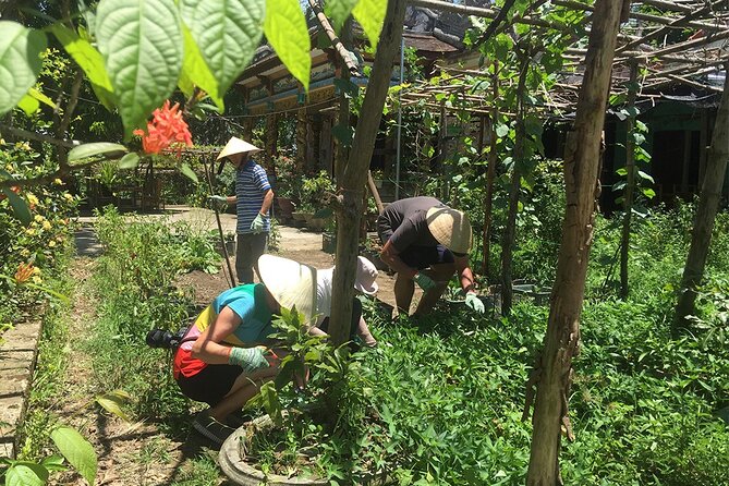 Private Cycling Tour in Rural Hue with Farming Experience - Thanh Toàn Bridge and the Farmer’s House: Where Work Turns Into Conversation