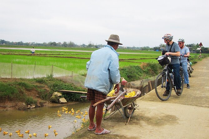 Private Cycling Tour in Rural Hue with Farming Experience - After Lunch on the Ancient Tile-Roofed Bridge: Market Edge and Slow Moments