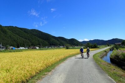 Private-group Morning Cycling Tour in Hida-Furukawa - The 3.5-Hour Plan: How the 22 km Route Feels in Real Life