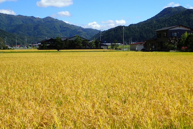 Private-group Morning Cycling Tour in Hida-Furukawa - Farming Village Sights: Rice Paddies, Mountains, and Folk Houses