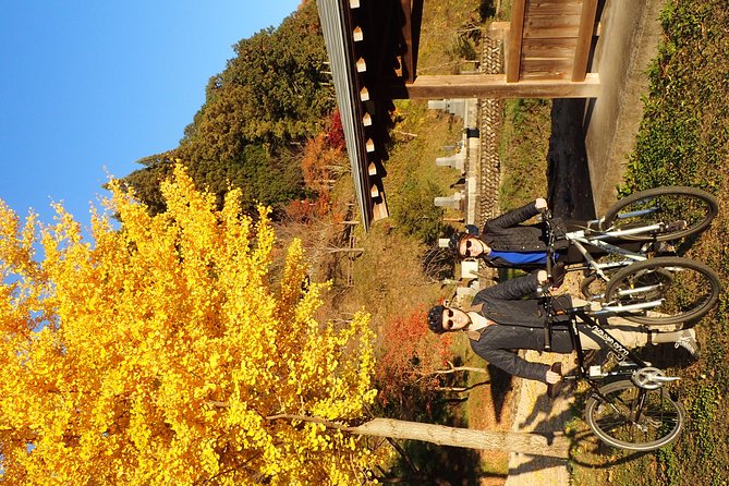 Private-group Morning Cycling Tour in Hida-Furukawa - Price and Value: Is $214.48 Worth It?
