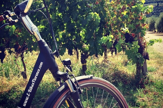 Private Self-Guided E-Bike Ride in Tuscany with Vineyard Visit - Key Things To Know Before You Go