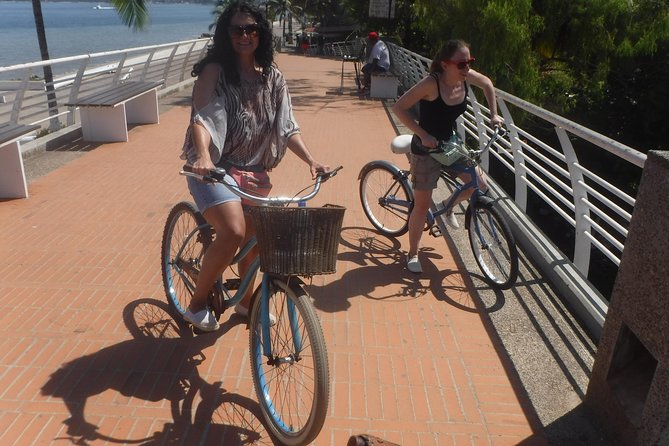 Private Tour in El Malecon Boardwalk Bike Ride - Stop 3: Isla Cuale’s park, market energy, and the Elizabeth Taylor tie-in