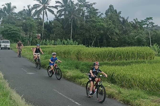 Private Ubud Downhill Cycling with Volcano, Rice Paddies & Meal - Pura Dalem Pukuh: Picking Your Bike and Getting Your Ride Rhythm