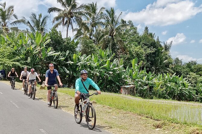 Private Ubud Downhill Cycling with Volcano, Rice Paddies & Meal - The 7:00 am Start: Pickup, Bikes, Helmets, and a Calm Safety Setup