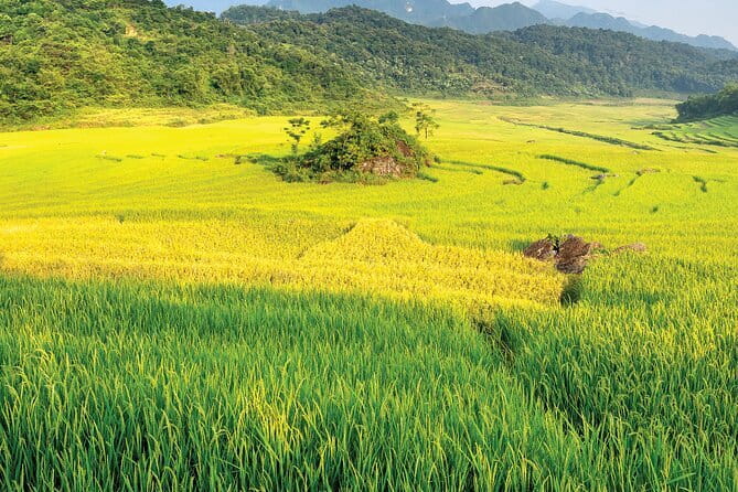 Pu Luong 3-Day Adventure: Trekking, Cycling & Local Cooking Class - Key highlights to expect