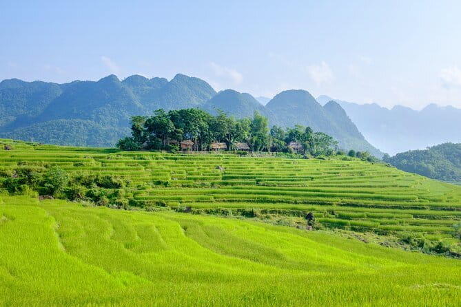 Pu Luong 3-Day Adventure: Trekking, Cycling & Local Cooking Class - Cooking class with a farmers’ family: learn food, then eat it