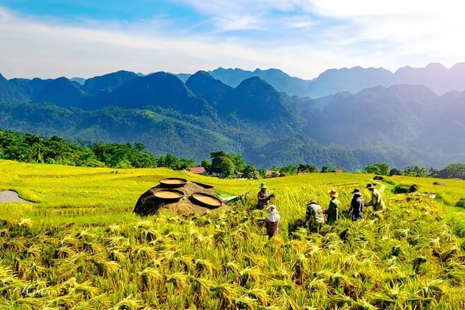 Pu Luong 3-Day Adventure: Trekking, Cycling & Local Cooking Class - Day 2: Lan Village silk-weaving and Thai-house culture
