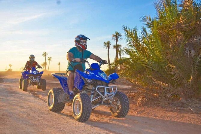 Quad bike ride palm grove Desert of Marrakech mountain bike - The Palm Grove Section: Why It’s the Most Photo-Friendly Part