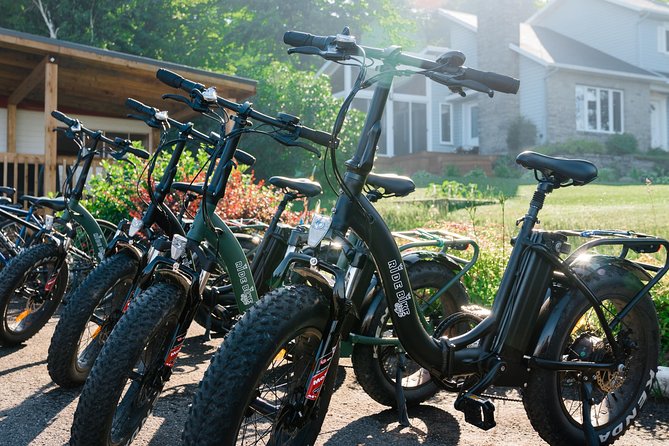 Quebec City - Electric Bike Rental on Ile d'Orléans - Who should book this e-bike rental on Île d’Orléans?