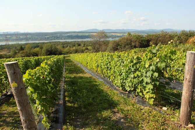 Quebec City - Tandem Bike Rental on Ile d'Orléans - Chocolate, Berries, Shops, and Winery Time Without a Driver