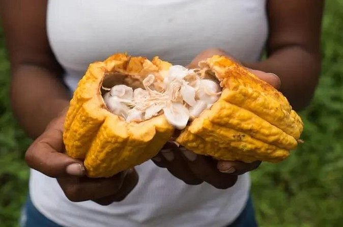 Rainforest Cycling Adventure in St. Lucia - Gear and comfort: how to pedal without getting grumpy