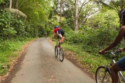 Rainforest Cycling Adventure in St. Lucia - Errard Falls (Sault Falls): the highest accessible waterfall payoff