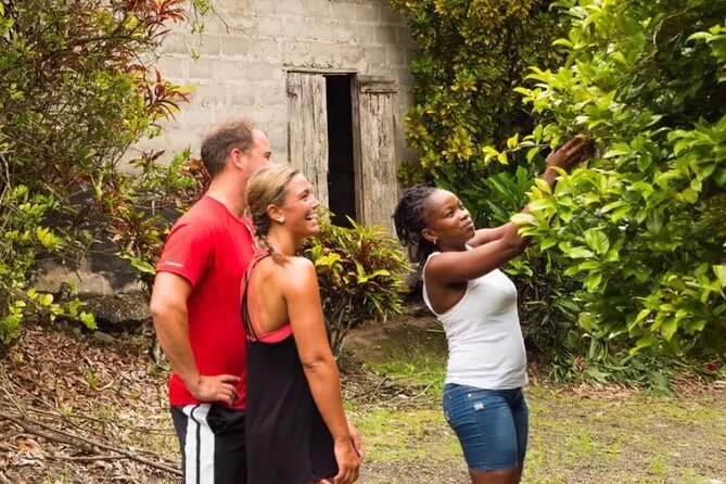 Rainforest Cycling Adventure in St. Lucia - Price and value: what $66.67 buys you in real terms