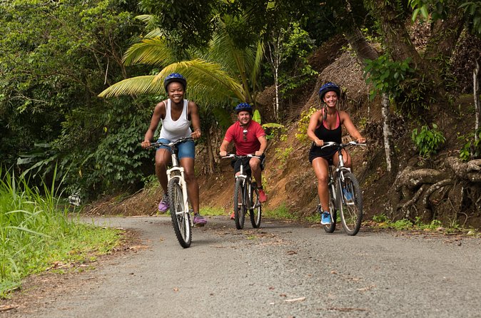 Rainforest Cycling Adventure in St. Lucia - Should you book this tour in St. Lucia?
