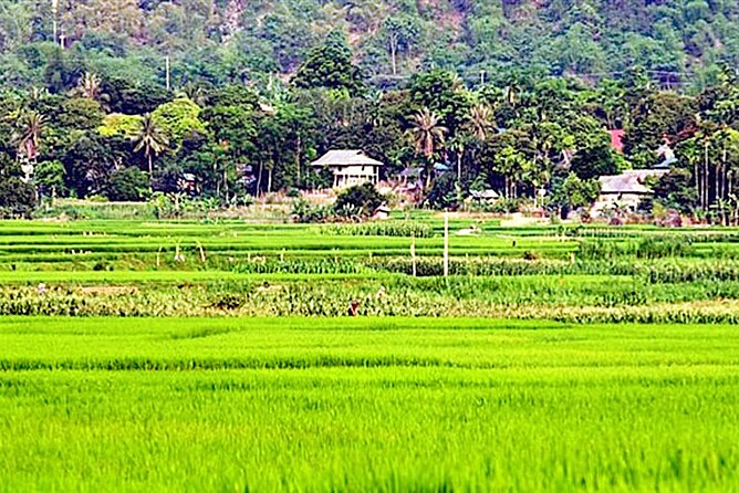 Real Vietnam Countryside Bicycle Tour & Enjoy Sunset On Wood Boat - An Afternoon Ride That Feels Like You Found the Real Road