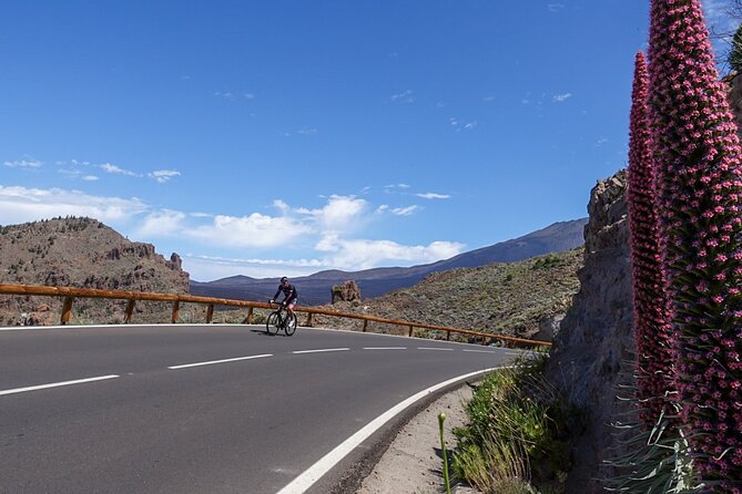 Road Cycling Tenerife - Teide Route - Carbon Bike Included: Why the Equipment Matter on This Route