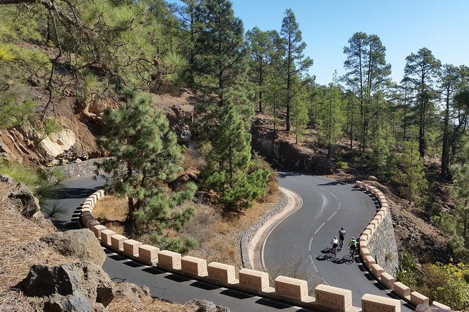 Road Cycling Tenerife - Teide Route - Value Check: Is $111.98 Worth It for What You Get?
