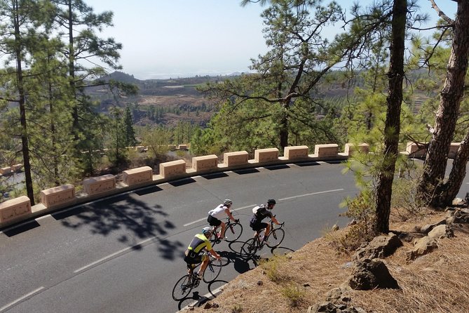 Road Cycling Tenerife - Teide Route - Starting in Playa de las Américas: Where You Meet and How Pickup Works
