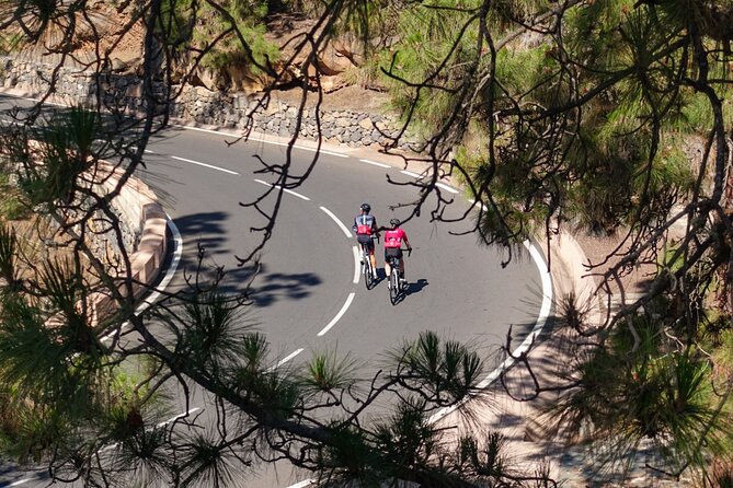 Road Cycling Tenerife - Vilaflor Route - Who Should Book, and Who Should Skip This Ride