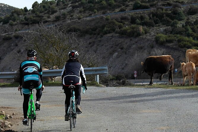 Road, Trekking or E-bike Bike Rental in Cagliari - A Real Bike Operator in Cagliari, Not Just a Counter Rental