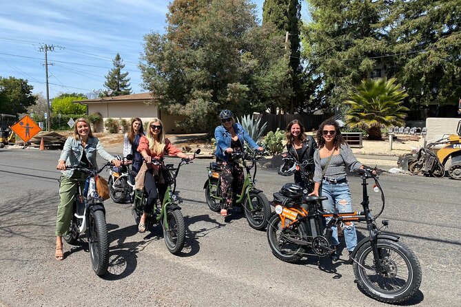Self Guided Full Day E-bike Rental With Picnic Lunch - Biking in Napa: what you can expect to see