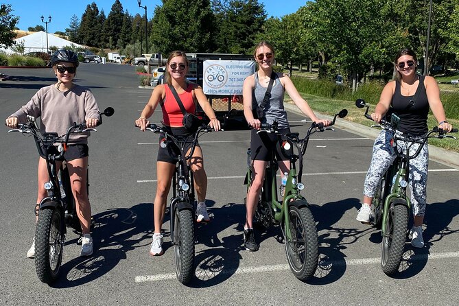 Self Guided Full Day E-bike Rental With Picnic Lunch - Wine stops and what to do with your lock-and-bag setup