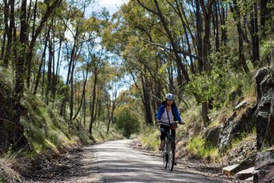 Self-Guided Gourmet Culinary Cycling Day Tour From Beechworth - The ride itself: Murray to Mountains Rail Trail, paved and mostly downhill