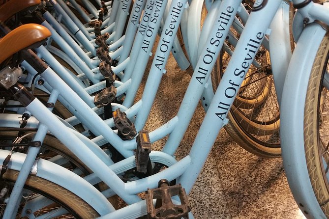 Sevilla Bike Rental - Bike options: city bikes, e-bikes, tandems, kids bikes, and rickshaws