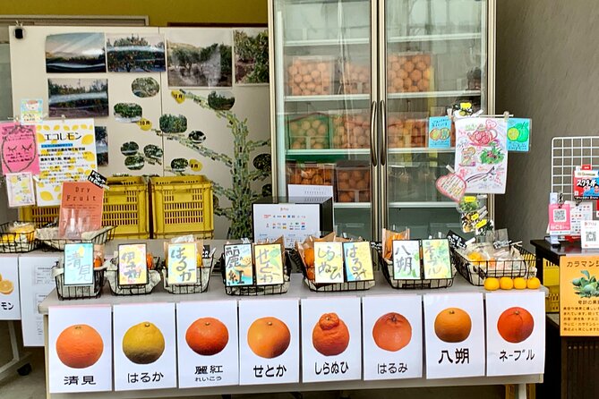 Shimanami Kaido, 1Day Relaxed Island Hopping Cycling Tour - Innoshima and the climb to the 700 Buddhas