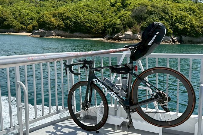 Shimanami Kaido, 1Day Relaxed Island Hopping Cycling Tour - Ikuchijima (Art Island) and a lemon-coast ride