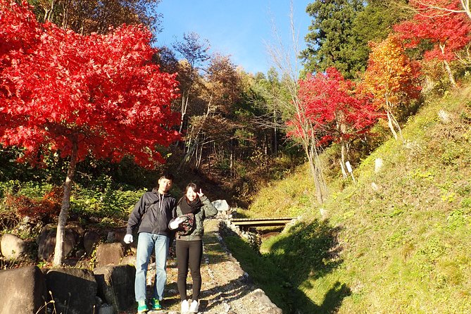 Short Morning Cycling Tour in Hida - What you actually see: town streets, farming villages, and satoyama views