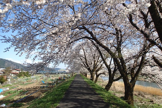 Short Morning Cycling Tour in Hida - Price and value: what $161.18 buys you in Hida