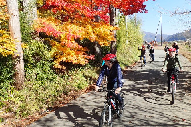 Short Morning Cycling Tour in Hida - The 12 km route: mostly flat, family-friendly, and not a grind