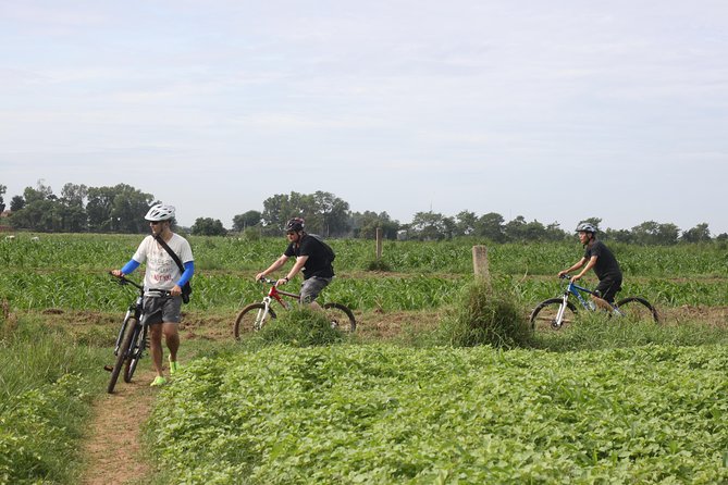Silk Island Cycling Adventure & lunch with locals - Floating lunch on the Mekong: where the heat takes a break